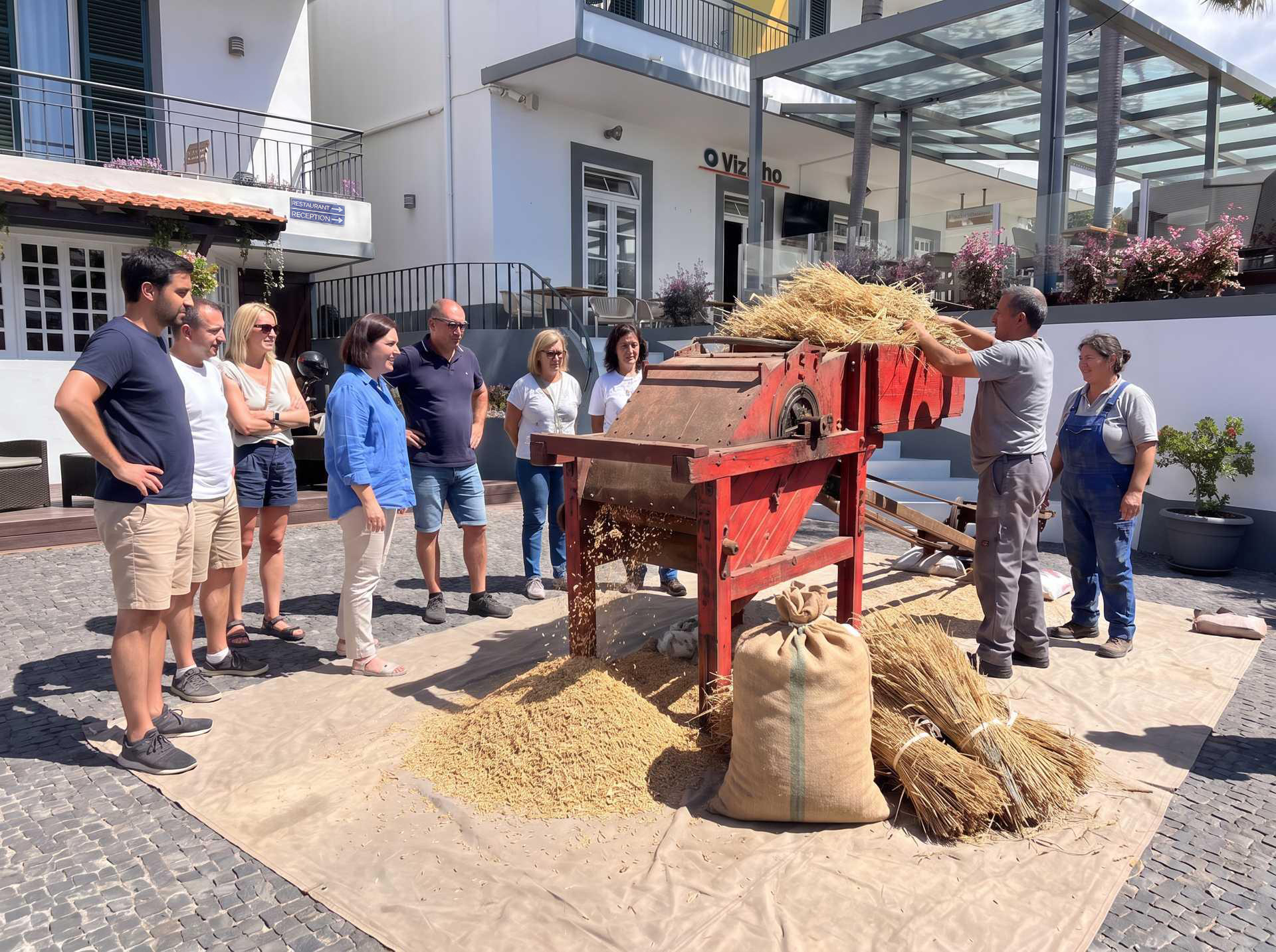 From Grain to Table — Wheat Ethnographic Experience