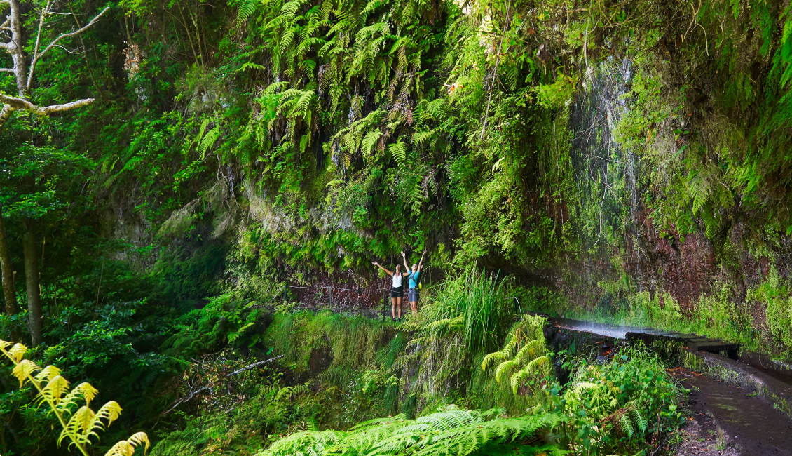 Madeira Nature Festival