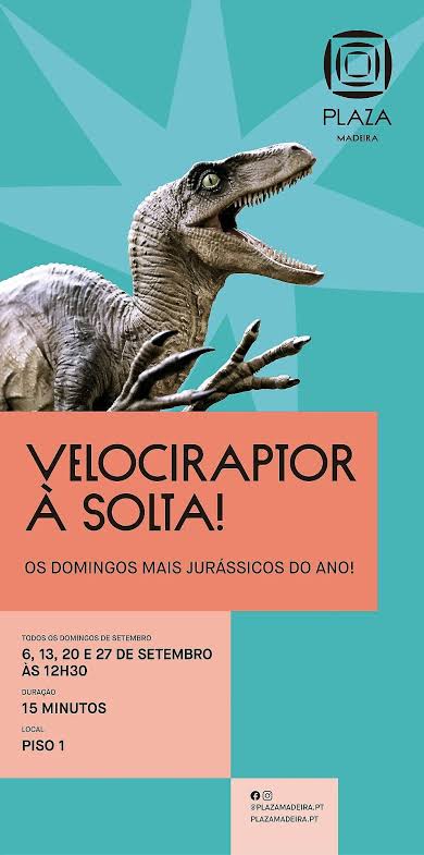Velociraptor on the Loose!
