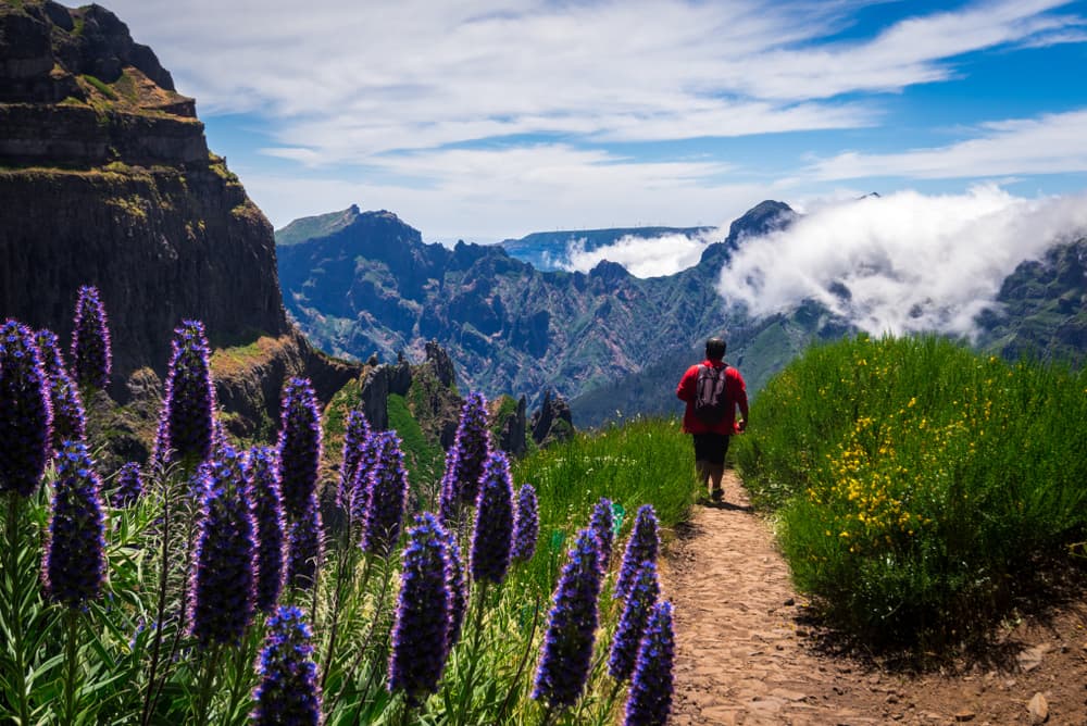Crossing the Island of Madeira 2026 - Hiking Challenge